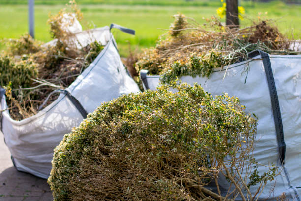 Best Commercial Junk Removal  in Coloma, MI